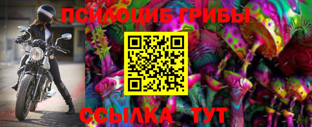 Псилоцибиновые грибы мухоморы Курганинск