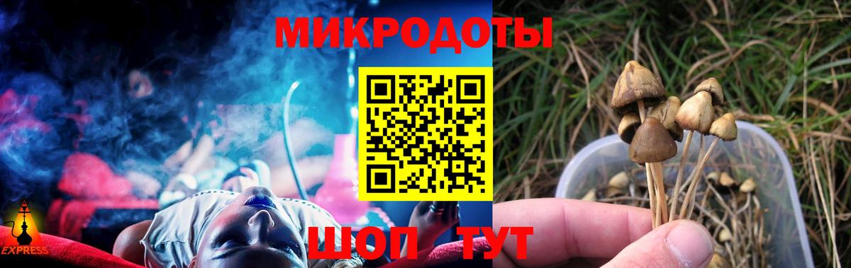 Псилоцибиновые грибы мицелий  Вход с VPN  наркотики  Курганинск 