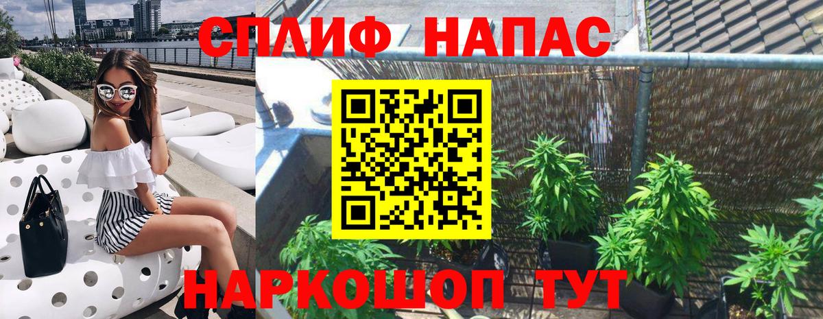 Конопля конопля Курганинск